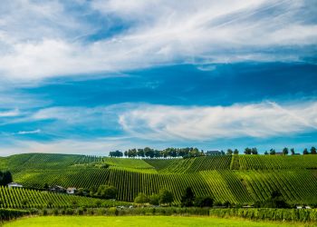 Hotels in Kesten Hotels in Kesten