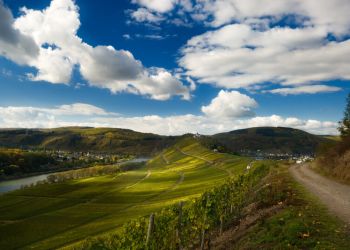 Mosel-Wetter Mosel-Wetter