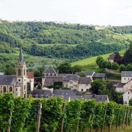Hotels in den Weinorten der Mosel Hotels in den Weinorten der Mosel