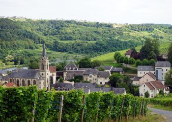 Hotels in den Weinorten der Mosel Hotels in den Weinorten der Mosel