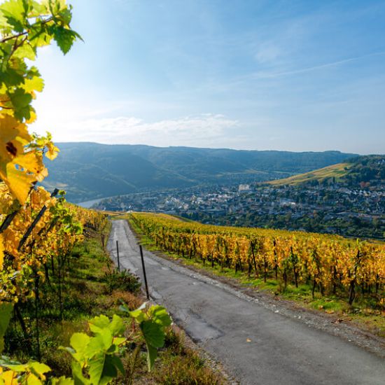 Regionen der Mosel Regionen der Mosel