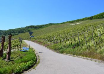 Piesport Piesport